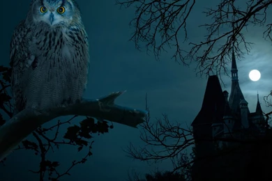 Windows Wallpaper, Images For Iphone, Tablet Desktop Images ...