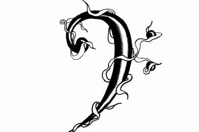 Bass Clef By Apeleutheros On DeviantArt