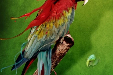 Tattfae's Nook Wallpapers