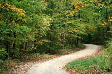 Country Road In Summer Free Desktop Backgrounds   Free Wallpapers Image