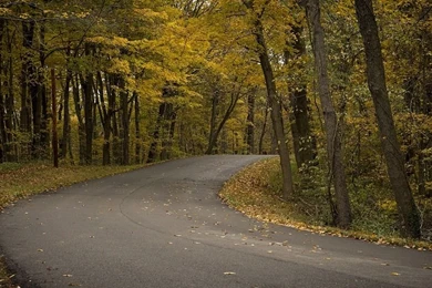 Country, Backgrounds, Textures   Free Images On Pixabay