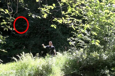Bigfoot Sounds Heard And Spotted?   Quest For Bigfoot   Video 3 ...