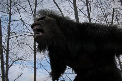 Fonds D'écran Bigfoot : Tous Les Wallpapers Bigfoot