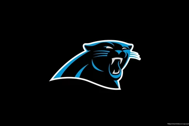 1024x819px Carolina Panthers Wallpapers