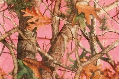 Pink_camo_ _next_vista_ _luncheon_napkin_ _open.jpg