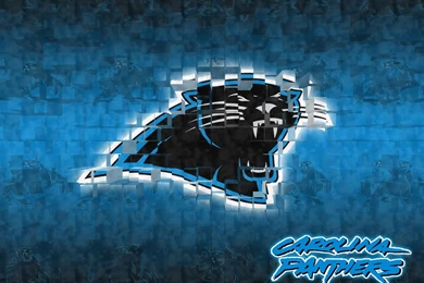 Panthers Wallpapers HD WLI16