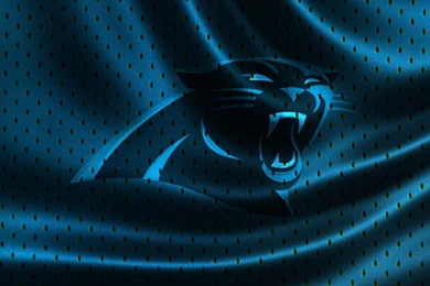 DeviantArt: More Like Carolina Panthers Wallpapers 2015 By EaglezRock