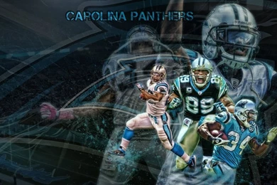 Carolina Panthers Wallpapers HD Backgrounds Download Desktop ...
