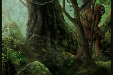 Teddy VS. Bigfoot Old Version By SharpWriter On DeviantArt