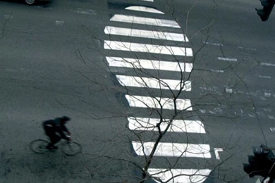 Footprint Of Bigfoot   (