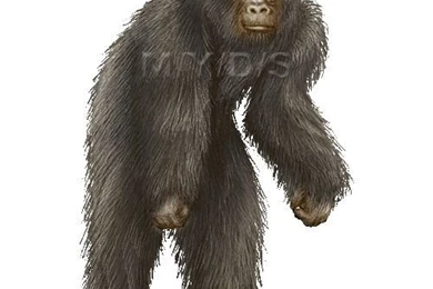 Bigfoot, Sasquatch Clipart Graphics (Free Clip Art