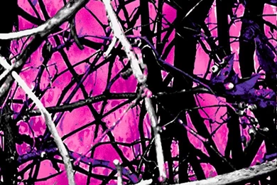 Camo Creek Hydrographics: Pattern Gallery