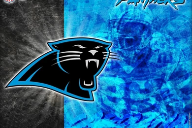 Wallpapers Carolina Panthers Cas 1280x1024 Photo