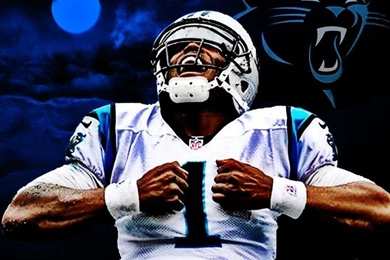 Carolina Panthers On Pinterest
