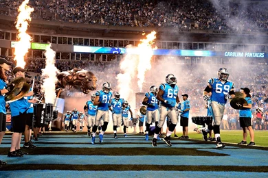 CAROLINA PANTHERS Nfl Football Te Wallpapers