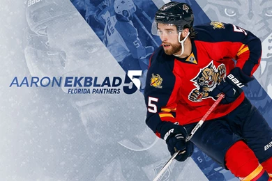 Panthers Wallpapers   Florida Panthers   Fan Zone