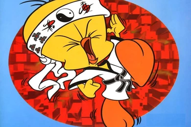 Tweety Bird Wallpapers   Tweety Bird Wallpapers (2656640)   Fanpop