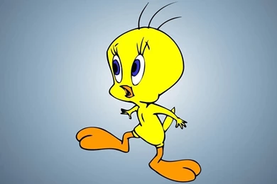 Free Tweety Bird Wallpapers   Wallpapers Cave