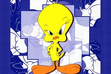 Tweety Bird Wallpapers   Tweety Bird Wallpapers (2656452)   Fanpop