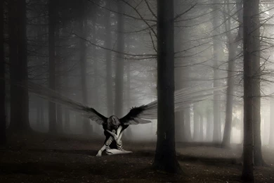 6436 1440x900 Wallpapers