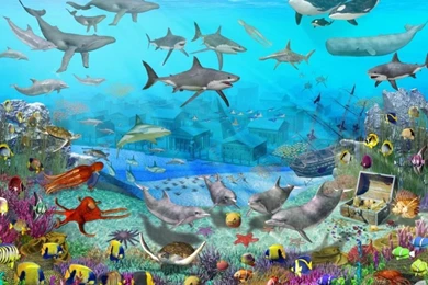 Free Moving Wallpapers Downloads   All Wallpapers New