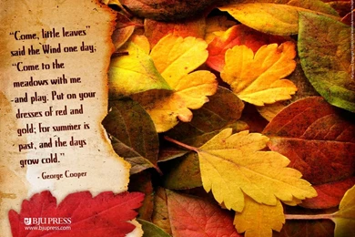 My Favorite Season ... AUTUMN FALL !!! On Pinterest