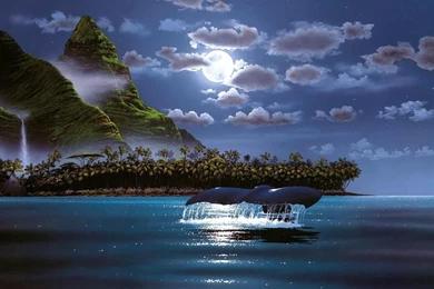 Hd Wallpapers 1080p Nature Animated