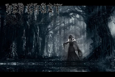 23 Forest HD Wallpapers