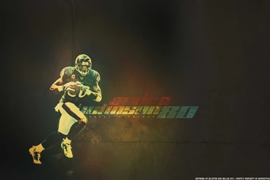 Andre Johnson Houston Texans Wallpapers Photo