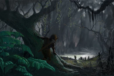 Dark Forest Path Wallpaper.