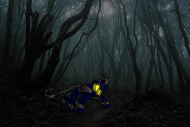 Dark Forest By AuraDragonxx On DeviantArt