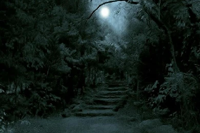 Dark Forest Moon   Wallpaper.