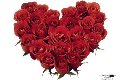 Axl Rose Wallpapers Hd   Wallpapers Toplist