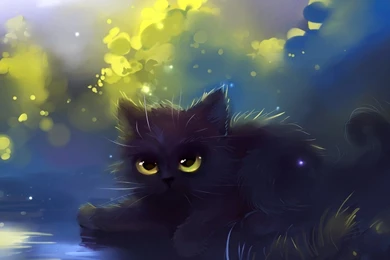 Drawing Cat Fluffy Art Hd Wallpapers Wallpapers