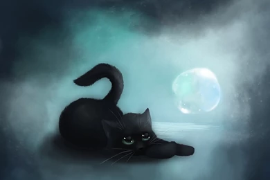 Cat Black Art HD Wallpapers   FreeWallsUp