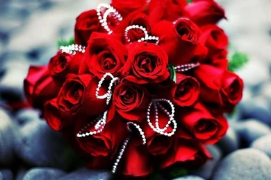 Gallery For   Most Beautiful Bouquet Of Red Roses