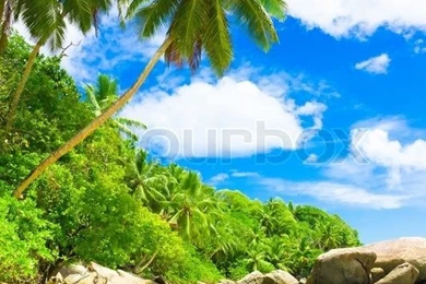 Gallery For   Natural Beauty Wallpapers For Mobile