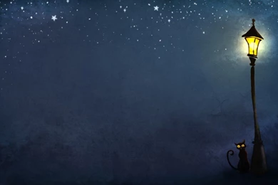 Lantern Night Cat Art HD Wallpapers   FreeWallsUp