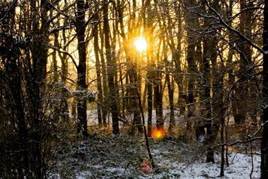 Beautiful Nature HD Desktop Wallpapers : Widescreen : High ...