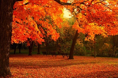 Fall Season Wallpapers Desktop Backgrounds