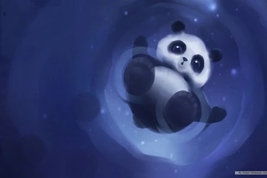 Free Wallpapers   Free Art Wallpapers   Cat Design Wallpapers ...