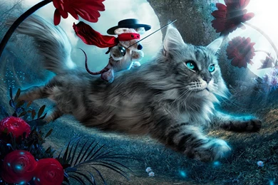 Fantasy Cat Cats Art Artwork Artistic Wallpapers