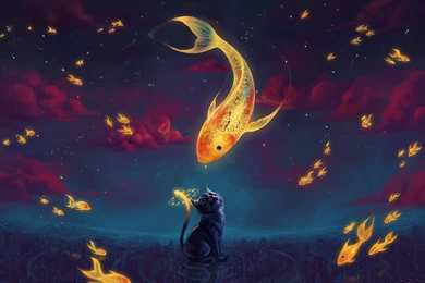 Cat Art Face Goldfish Town Fantasy Clouds Watches Fish Night HD ...