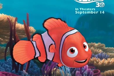 Finding Nemo Wallpapers AllMovieWallpaper.com