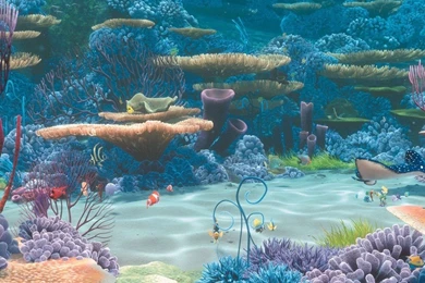 31 Finding Nemo Wallpaper Backgrounds   Desktop Wallpapers