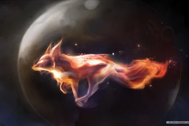 Free Wallpapers   Free Art Wallpapers   Cat Design Wallpapers ...