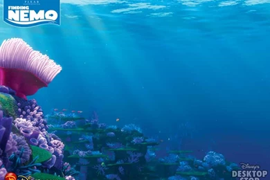 Finding Nemo Wallpapers Wallpapers Cave