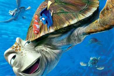 Finding Nemo Wallpapers Cartoon Wallpapers