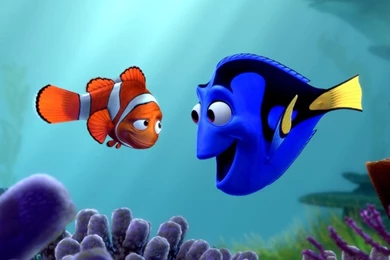 Beautiful Nemo Fish Wallpapers ~ WALLPAPERS