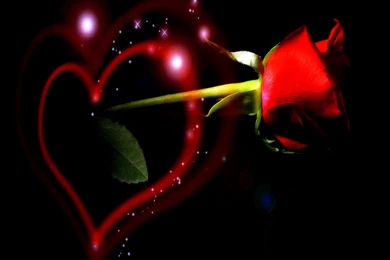 Creative I Love Wallpapers For Desktop: Beautiful By Free Download ...